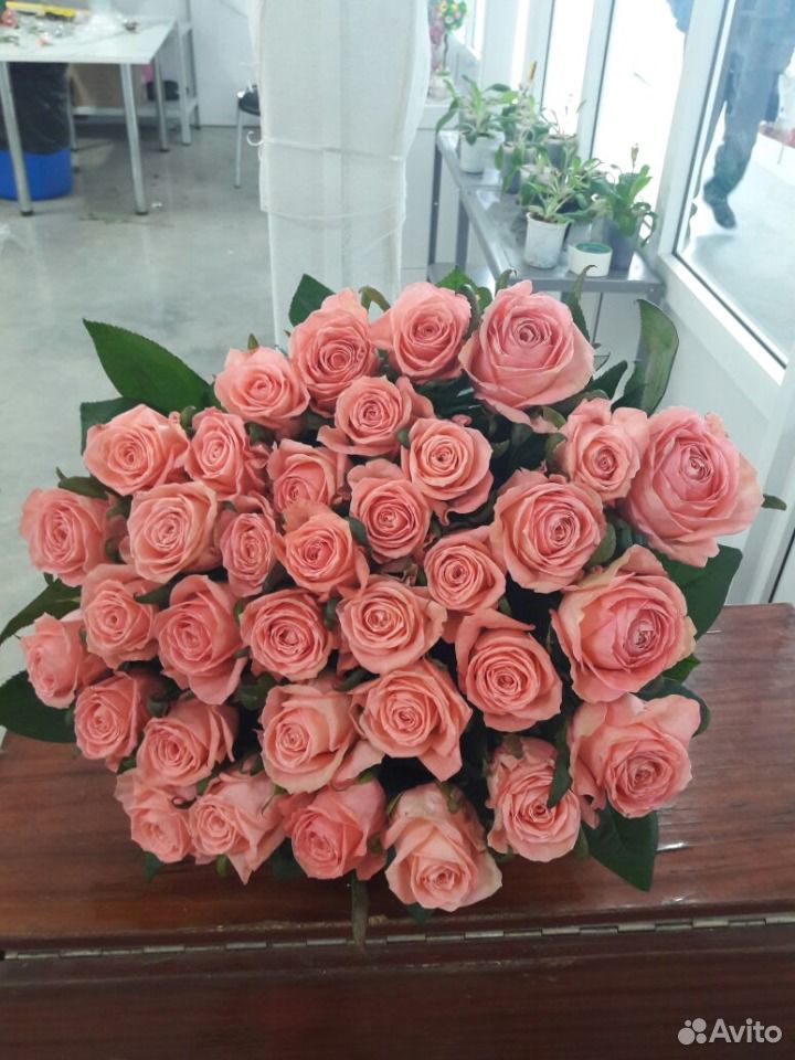 Цветы, 51 роза, сорта Анна Карина 80 см. Доставка купить на Зозу.ру - фотография № 1