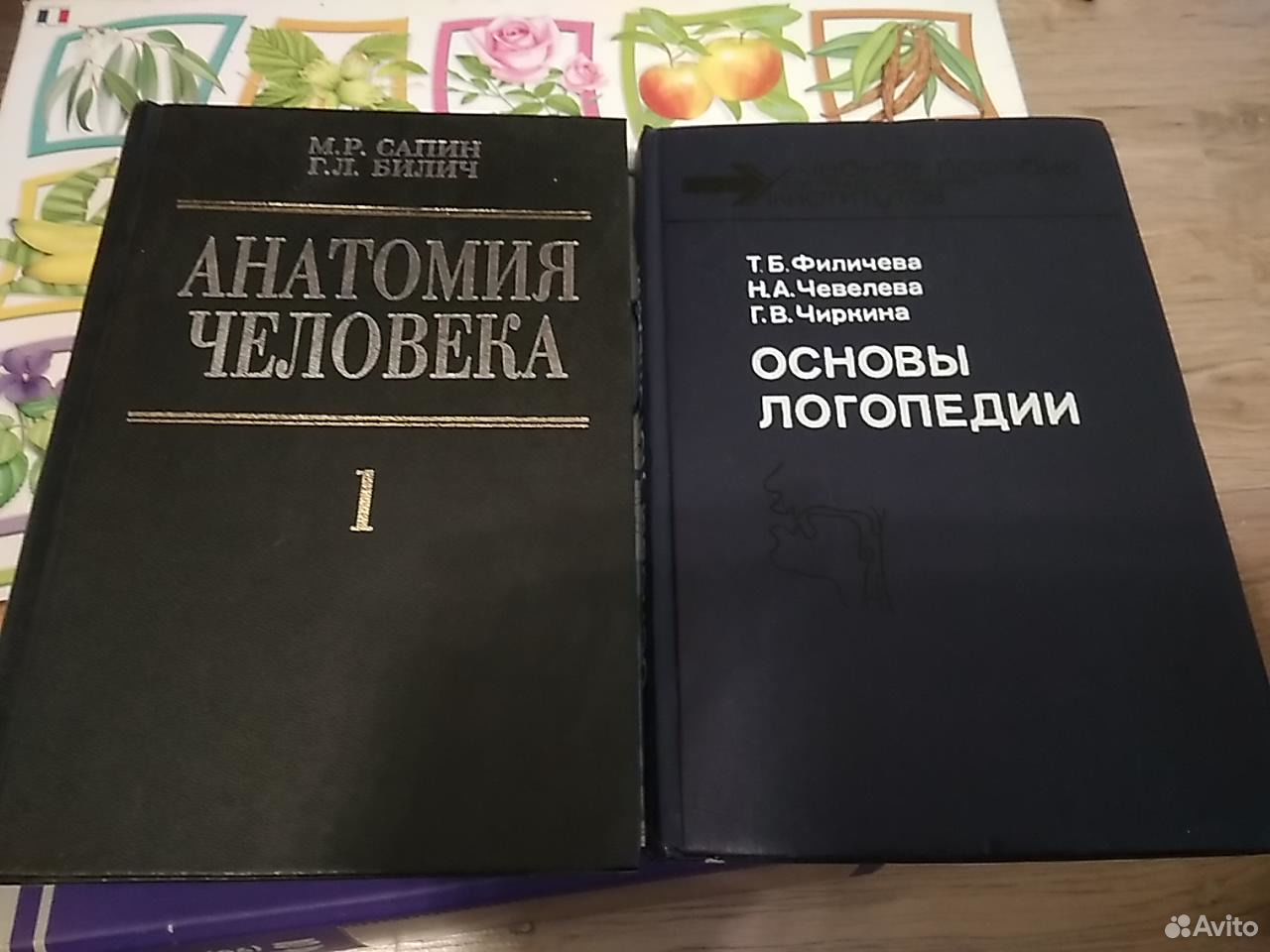 Сапин билич анатомия. Основы логопедии Филичева Чевелева Чиркина. Филичева Чиркина основы логопедии. Филичева основы логопедии. Основы логопедии Филичева Чевелева Чиркина купить.