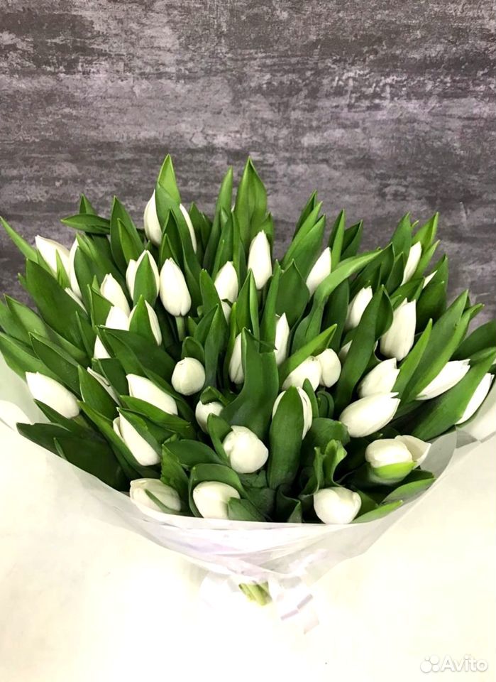 41 белый тюльпан с доставкой за час + 2 подарка купить на Зозу.ру - фотография № 1