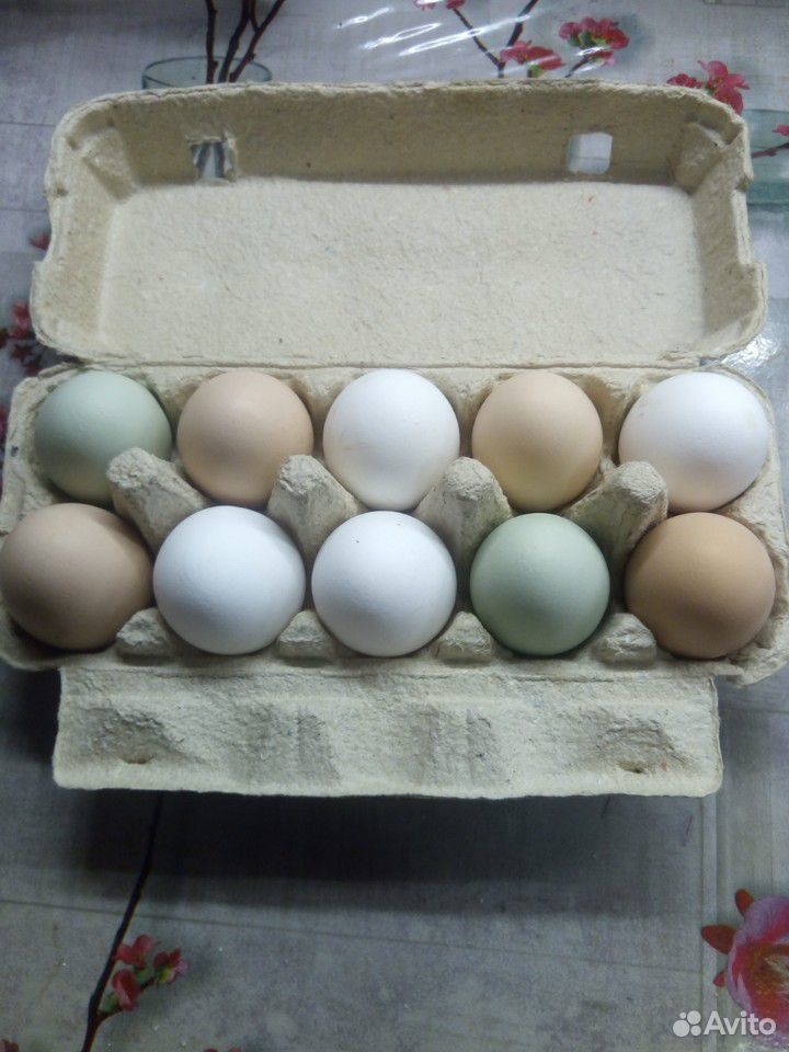 Яйца куриные на еду купить на Зозу.ру - фотография № 1