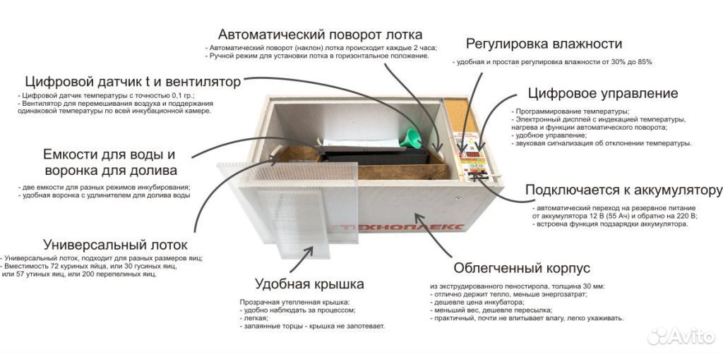 Инкубатор блиц Норма Цифровой 72 яйца купить на Зозу.ру - фотография № 3