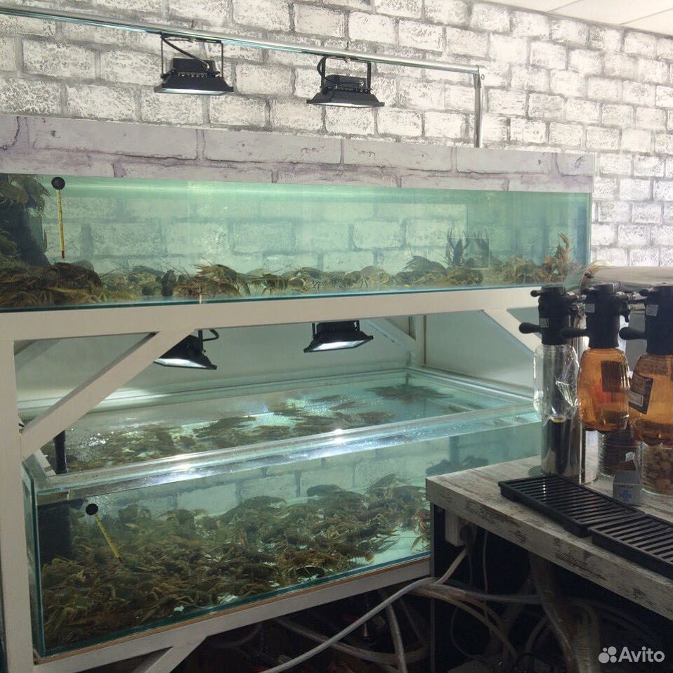 Изготовление аквариумов террариум любых размеров купить на Зозу.ру - фотография № 9