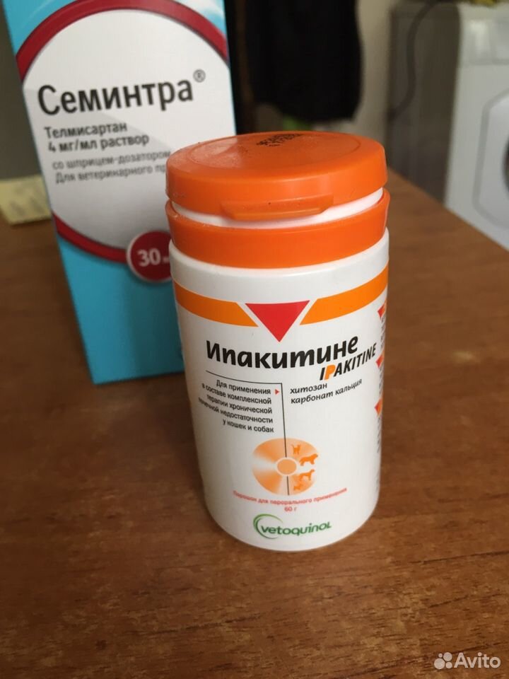 Купить Ипакитине Для Кошек В Интернет Магазине