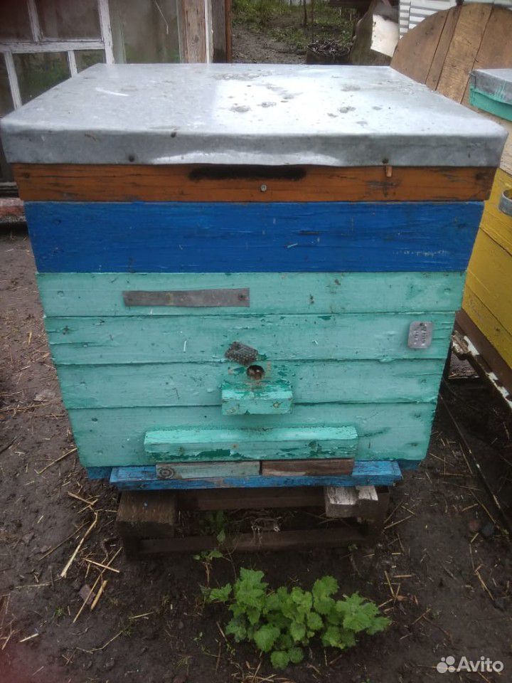 Рамки с вощиной сушь пчелиная и ульи с корпусами купить на Зозу.ру - фотография № 3