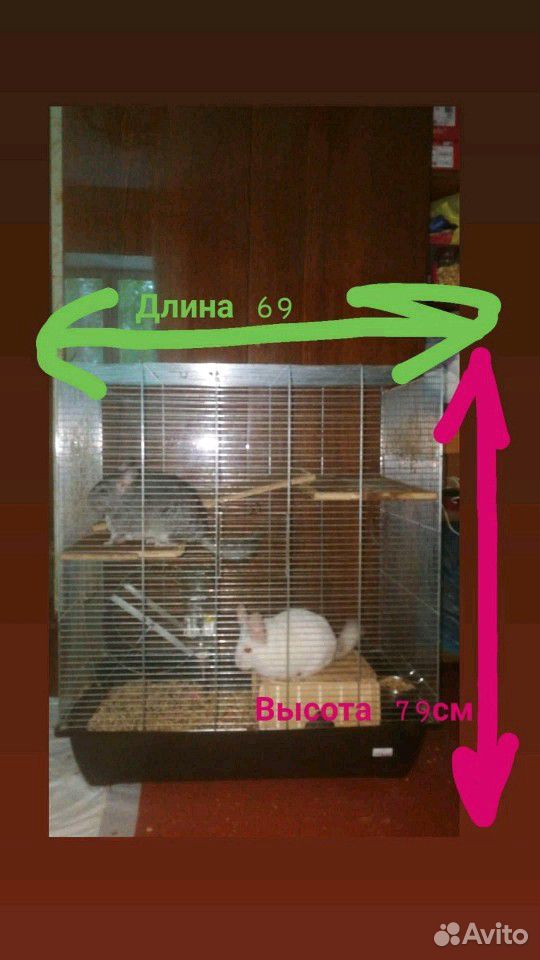 Клетка для грызунов и птиц купить на Зозу.ру - фотография № 2