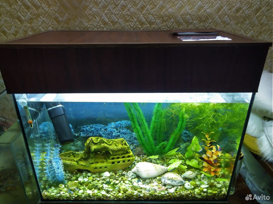 Продам аквариум 70 литров купить на Зозу.ру - фотография № 2