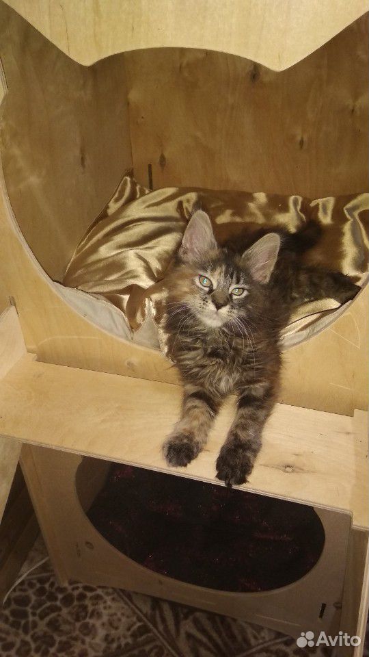 Домики для кошек купить на Зозу.ру - фотография № 2