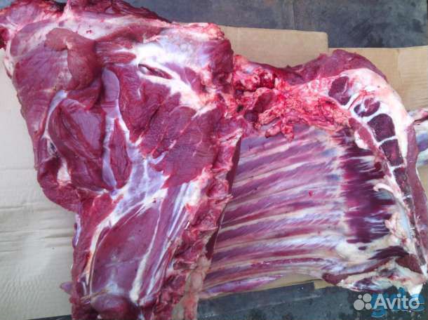 Мясо говядина (телятина) купить на Зозу.ру - фотография № 1