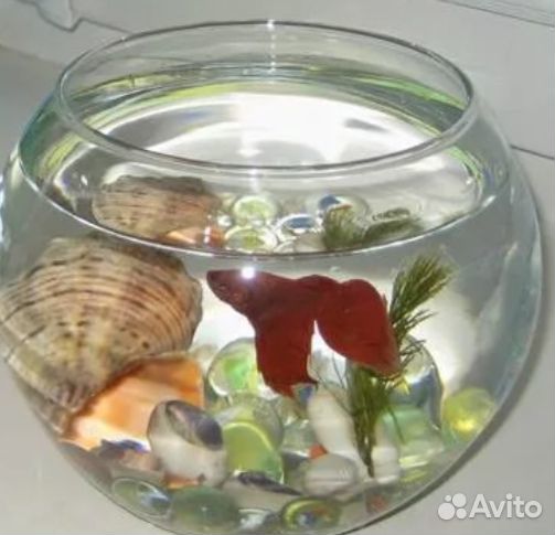 Круглый аквариум купить на Зозу.ру - фотография № 1