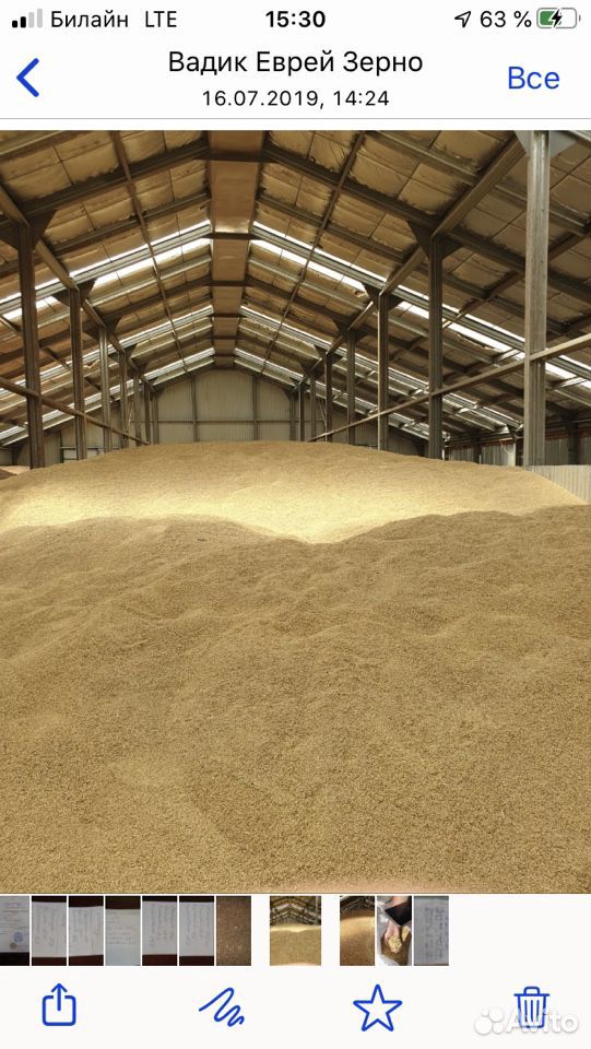 Пшеница тройка за наличку от 50 тонн купить на Зозу.ру - фотография № 2