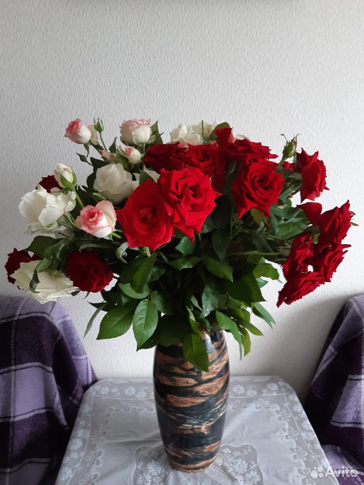 Продаю розы с куста купить на Зозу.ру - фотография № 1