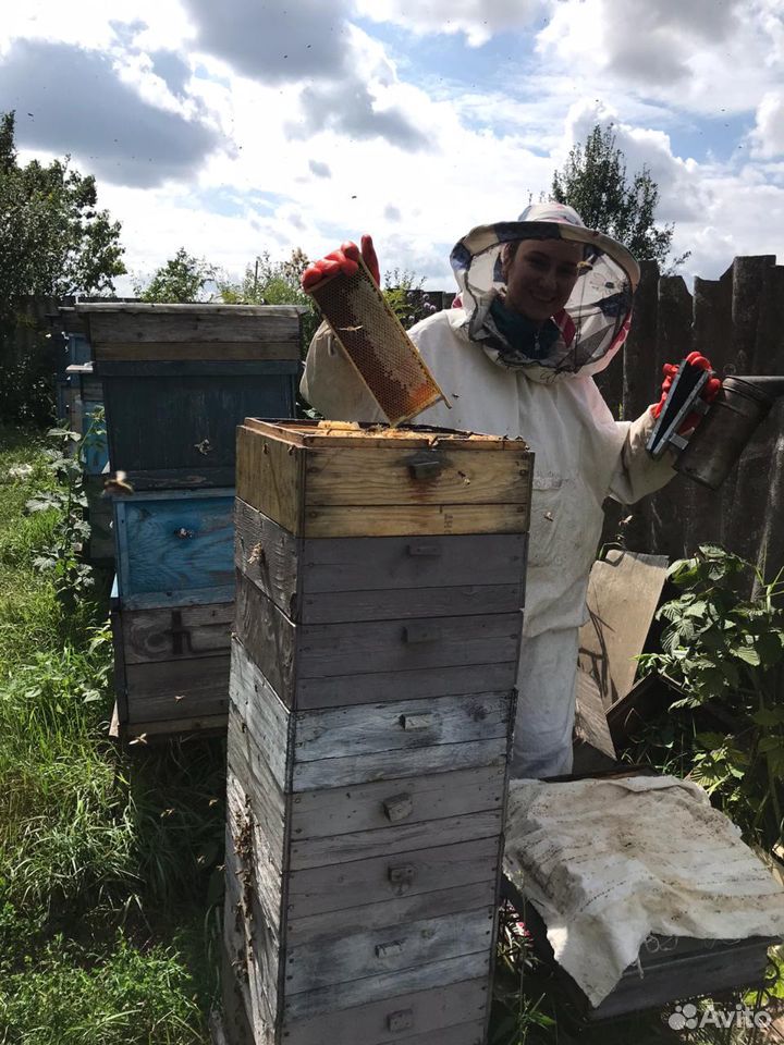 Продам свежий мед 2020 г купить на Зозу.ру - фотография № 1