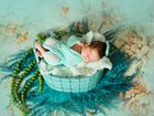 Фотограф новорожденных Ростов-на-Дону объявление продам