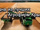 Продается одна из престижных Агрофирм Крыма-3000га объявление продам