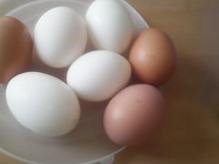 Яйца несушек домашние