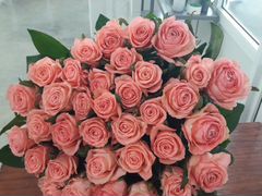 Цветы, 51 роза, сорта Анна Карина 80 см. Доставка