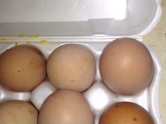 Яйца на инкубацию индюшек и куринное