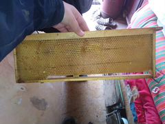 Рамки пчеловодные