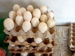 Гусиные яйца 50р