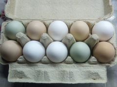 Яйца куриные на еду