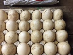 Яйца утиные «башкирки»