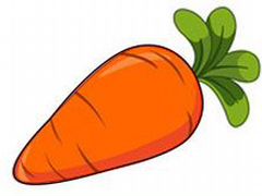 Морковь на корм