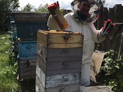 Продам свежий мед 2020 г