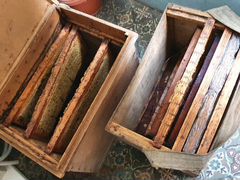 Ящик для переноски и хранения пчелиных рамок