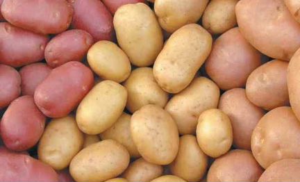 Домашний картофель