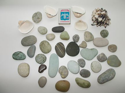 Камни и ракушки
