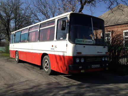 Автобус (Икарус) -255, 1975 года