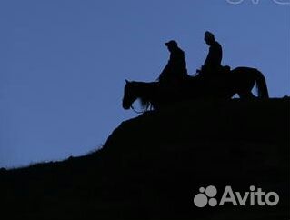 Нянька-философ,слушатель,собеседник со своим баром