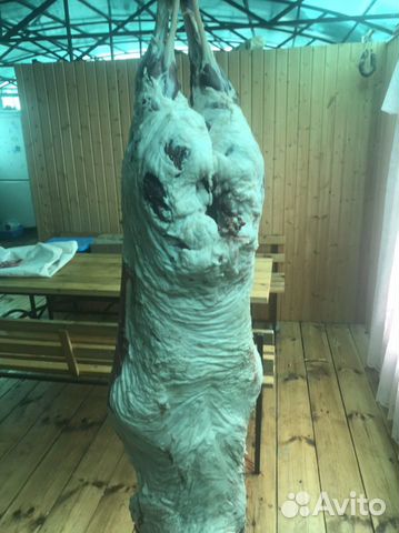 Мясо баранина свежая