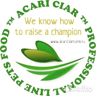 Корм для собак