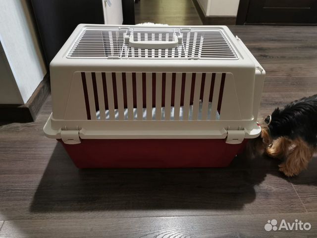 Контейнер для собак