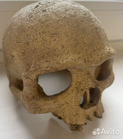 Череп Примата Hagen Exo-Terra Primate Skull