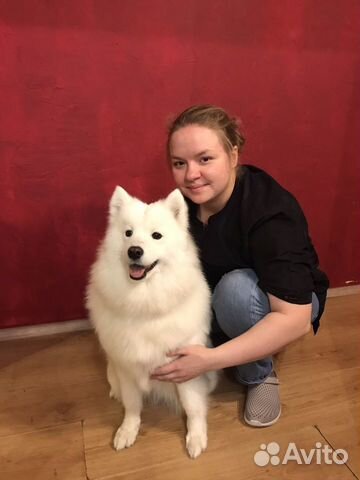 Груминг животных (стрижка животных, уход)