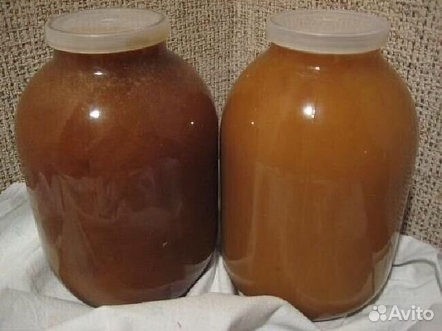 Мед 2023 с пасеки в Алтайской тайге (3 литра)