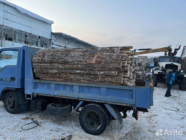 Горбыль дубовый