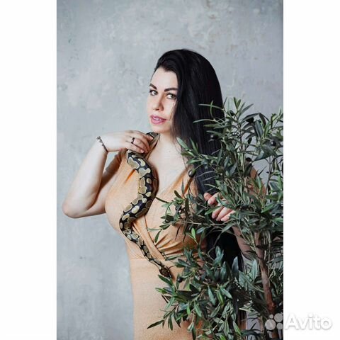 Змея питон в аренду для фотосессии