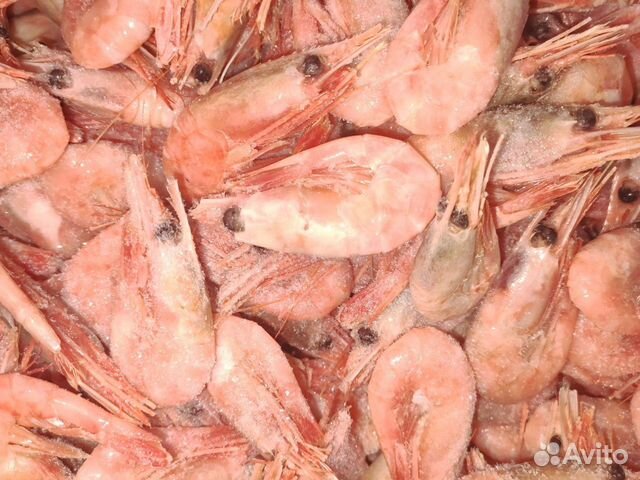 Креветка 120/150