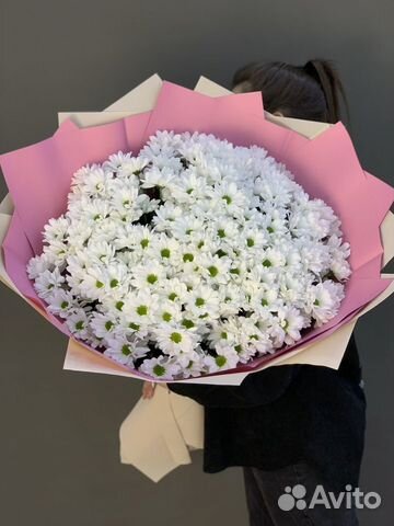 Хризантема. Цветы с Доставкой