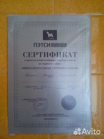 Стрижка собак и кошек