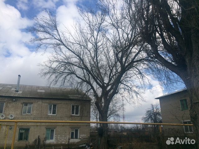 Спиливание деревьев. Воронеж и область Спиливание деревьев. Воронеж и область