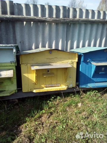 Улей для пчел "Лежак", можно с пчелой купить на Зозу.ру - фотография № 1