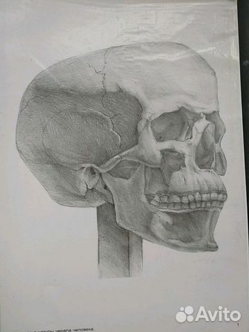 Обучение рисованию Обучение рисованию