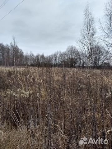 Участок 18 сот. (ИЖС) Участок 18 сот. (ИЖС)
