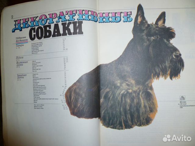 Декоративные собаки