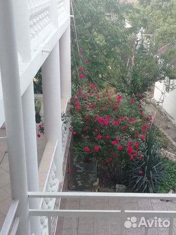Комната 20 м² в > 9-к, 1/3 эт.