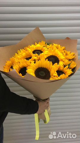 Подсолнухи в москве Подсолнухи в москве